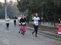 IMG SD DSC 0175