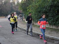 IMG SD DSC 0184