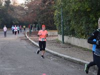 IMG SD DSC 0193
