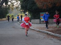IMG SD DSC 0215