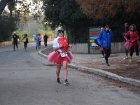 IMG SD DSC 0216