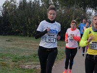 IMG LD NIK 0539