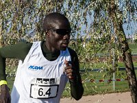 IMG SENGHOR 0561