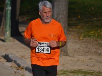 IMG DH DSC 8518