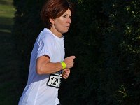 IMG DH DSC 8847