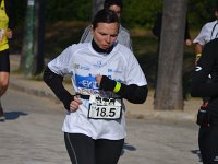 IMG DH DSC 9006
