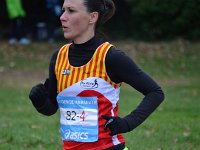 DSC 2585  82